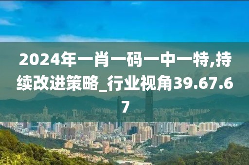 2024年一肖一码一中一特,持续改进策略_行业视角39.67.67