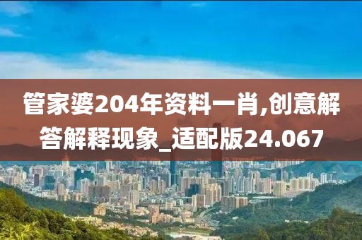 管家婆204年资料一肖,创意解答解释现象_适配版24.067