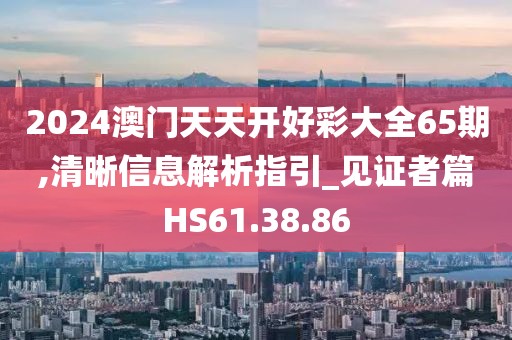 2024澳门天天开好彩大全65期,清晰信息解析指引_见证者篇HS61.38.86