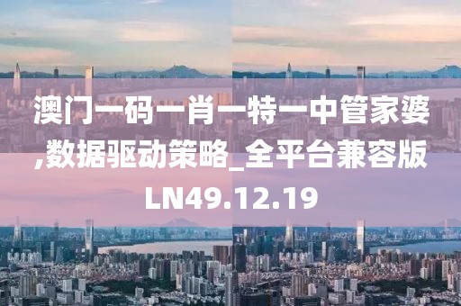 澳门一码一肖一特一中管家婆,数据驱动策略_全平台兼容版LN49.12.19
