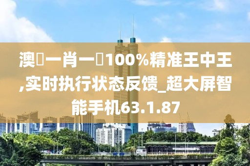 澳門一肖一碼100%精准王中王,实时执行状态反馈_超大屏智能手机63.1.87