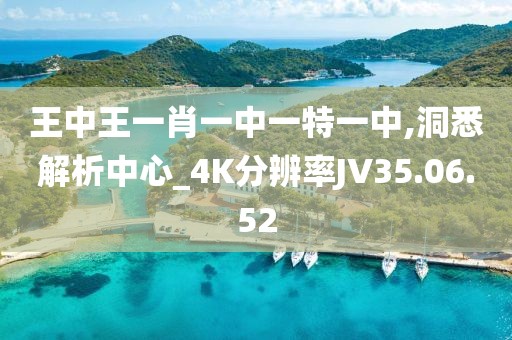 王中王一肖一中一特一中,洞悉解析中心_4K分辨率JV35.06.52