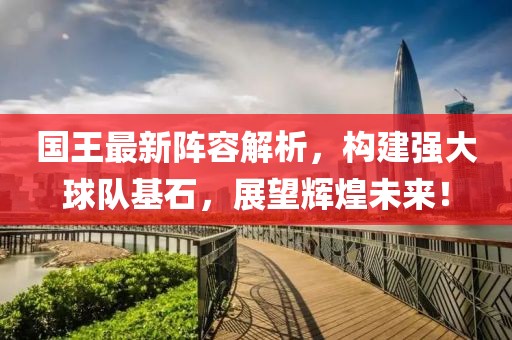 国王最新阵容解析，构建强大球队基石，展望辉煌未来！