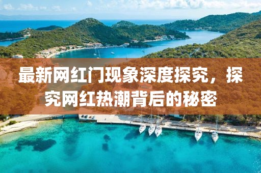最新网红门现象深度探究，探究网红热潮背后的秘密