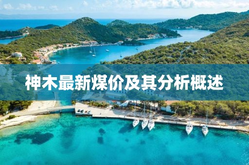 初告白 第41页