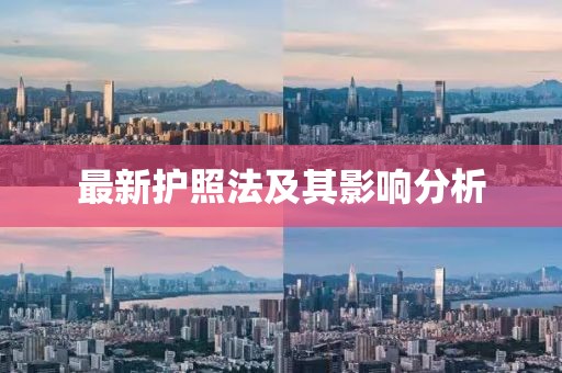 最新护照法及其影响分析