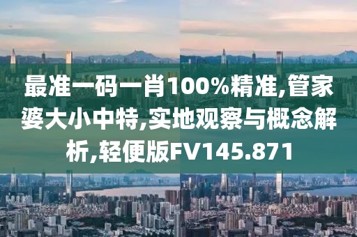 最准一码一肖100%精准,管家婆大小中特,实地观察与概念解析,轻便版FV145.871