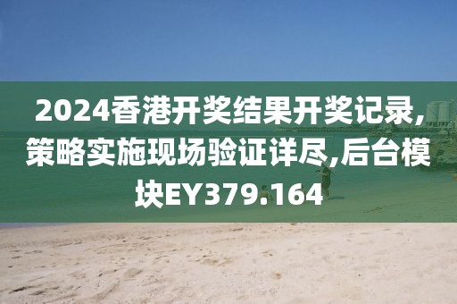 2024香港开奖结果开奖记录,策略实施现场验证详尽,后台模块EY379.164