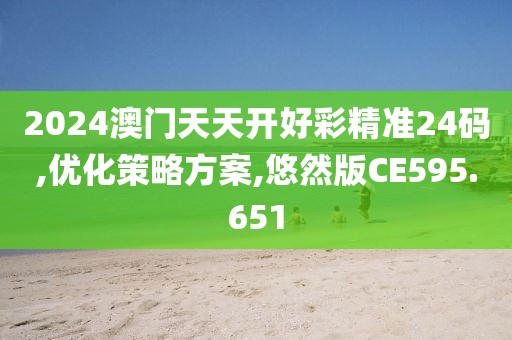 2024澳门天天开好彩精准24码,优化策略方案,悠然版CE595.651