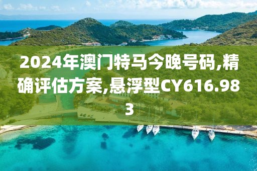 2024年澳门特马今晚号码,精确评估方案,悬浮型CY616.983
