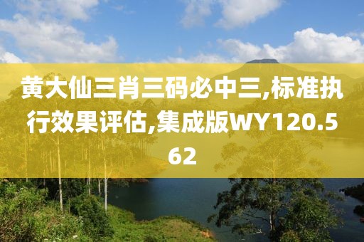 黄大仙三肖三码必中三,标准执行效果评估,集成版WY120.562