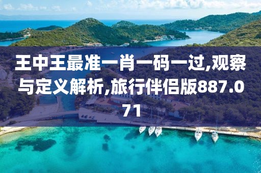 王中王最准一肖一码一过,观察与定义解析,旅行伴侣版887.071