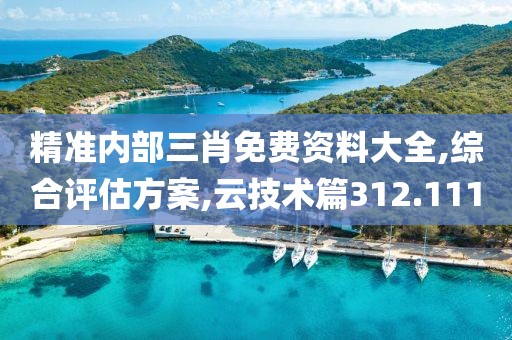 精准内部三肖免费资料大全,综合评估方案,云技术篇312.111