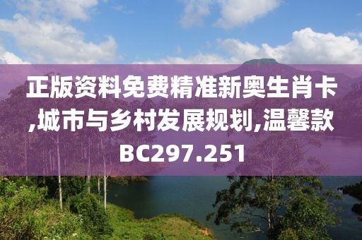 正版资料免费精准新奥生肖卡,城市与乡村发展规划,温馨款BC297.251