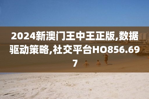 2024新澳门王中王正版,数据驱动策略,社交平台HO856.697