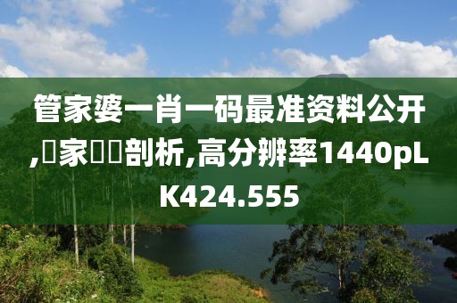 管家婆一肖一码最准资料公开,專家觀點剖析,高分辨率1440pLK424.555