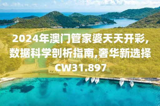 2024年澳门管家婆天天开彩,数据科学剖析指南,奢华新选择CW31.897