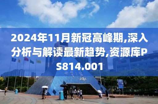 2024年11月新冠高峰期,深入分析与解读最新趋势,资源库PS814.001