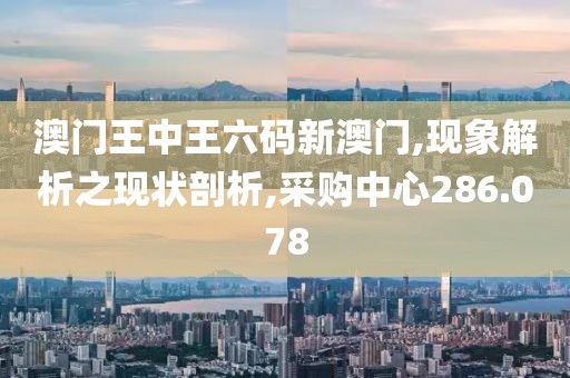 澳门王中王六码新澳门,现象解析之现状剖析,采购中心286.078