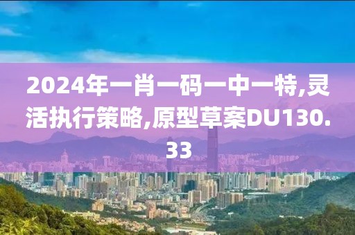 2024年一肖一码一中一特,灵活执行策略,原型草案DU130.33