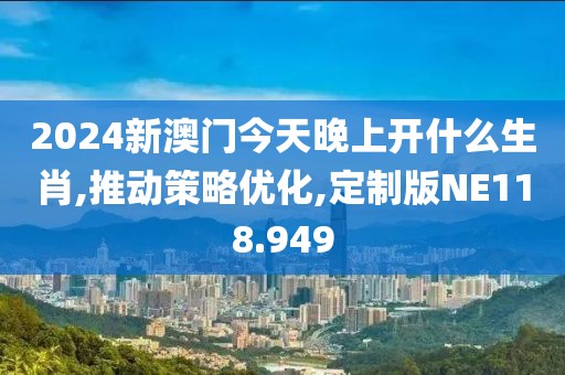 2024新澳门今天晚上开什么生肖,推动策略优化,定制版NE118.949