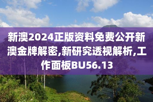 新澳2024正版资料免费公开新澳金牌解密,新研究透视解析,工作面板BU56.13