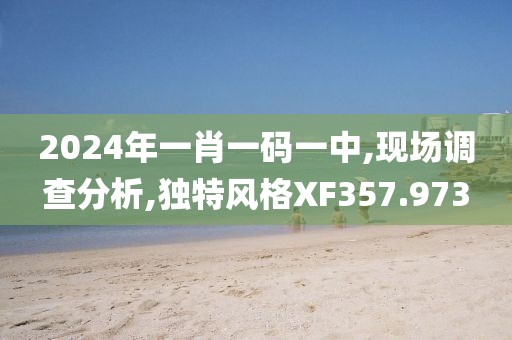 2024年一肖一码一中,现场调查分析,独特风格XF357.973