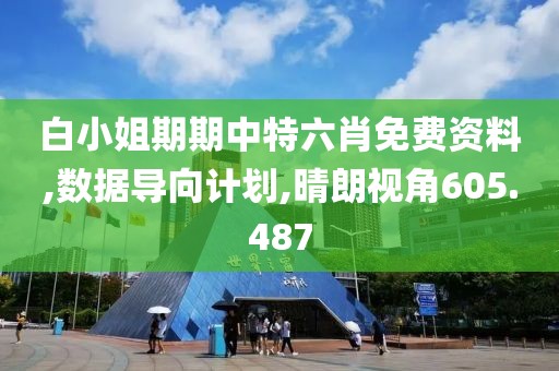 白小姐期期中特六肖免费资料,数据导向计划,晴朗视角605.487