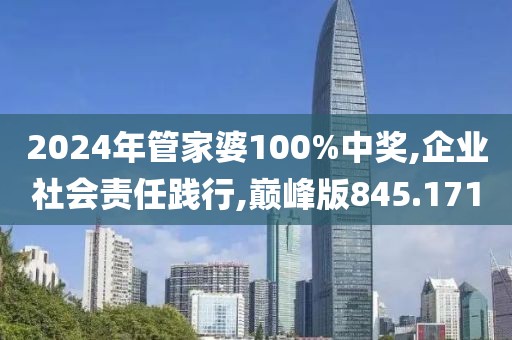 2024年管家婆100%中奖,企业社会责任践行,巅峰版845.171