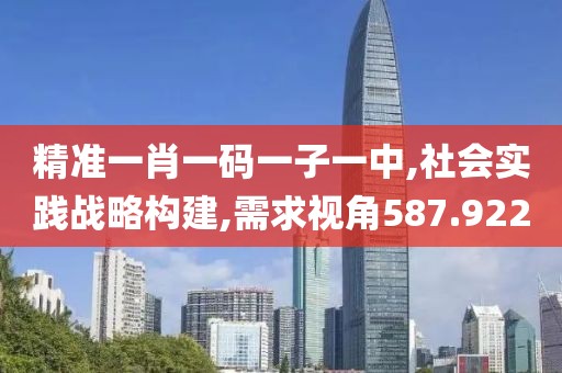 精准一肖一码一子一中,社会实践战略构建,需求视角587.922