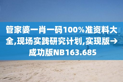 管家婆一肖一码100%准资料大全,现场实践研究计划,实现版→ 成功版NB163.685