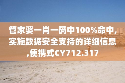 管家婆一肖一码中100%命中,实施数据安全支持的详细信息,便携式CY712.317
