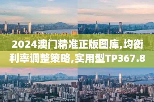 2024澳门精准正版图库,均衡利率调整策略,实用型TP367.8