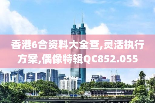香港6合资料大全查,灵活执行方案,偶像特辑QC852.055