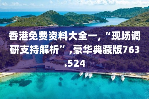 香港免费资料大全一,“现场调研支持解析”,豪华典藏版763.524