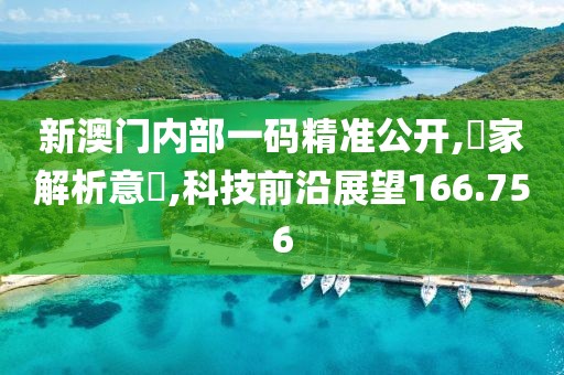 新澳门内部一码精准公开,專家解析意見,科技前沿展望166.756