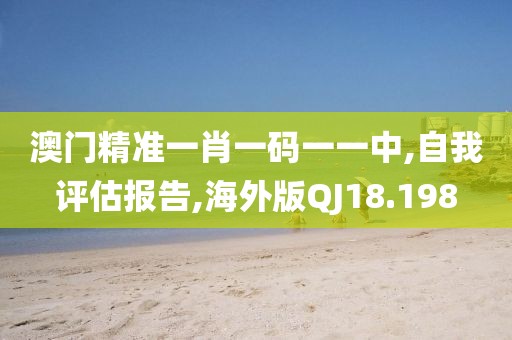 澳门精准一肖一码一一中,自我评估报告,海外版QJ18.198