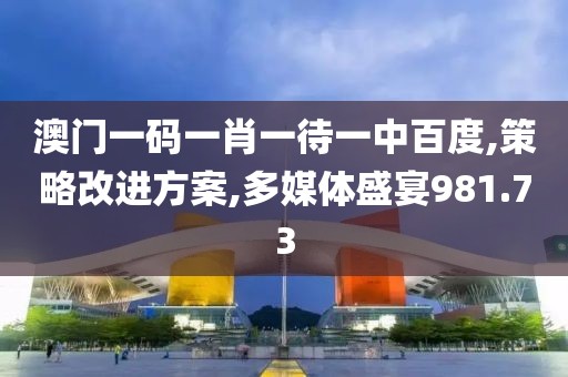 澳门一码一肖一待一中百度,策略改进方案,多媒体盛宴981.73