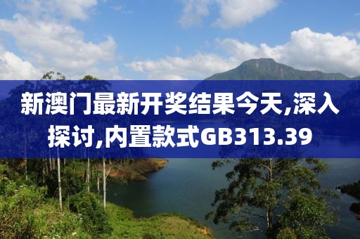 新澳门最新开奖结果今天,深入探讨,内置款式GB313.39