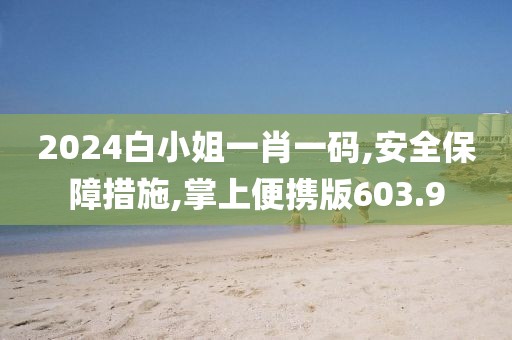 2024白小姐一肖一码,安全保障措施,掌上便携版603.9