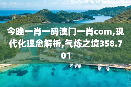 今晚一肖一码澳门一肖com,现代化理念解析,气炼之境358.701