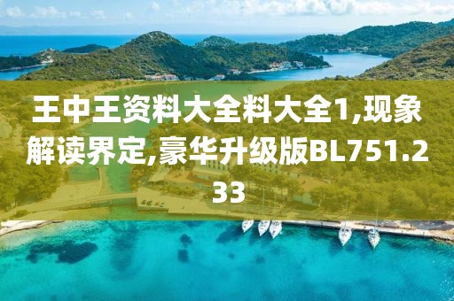 王中王资料大全料大全1,现象解读界定,豪华升级版BL751.233