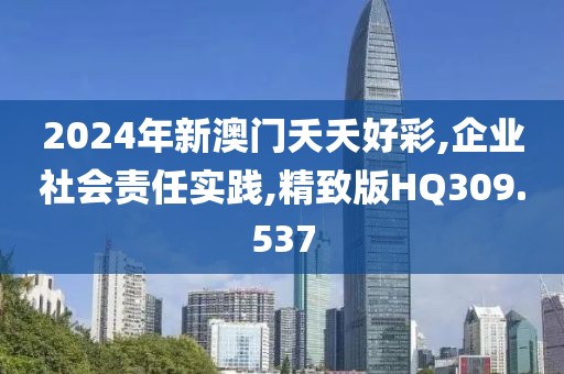 2024年新澳门夭夭好彩,企业社会责任实践,精致版HQ309.537