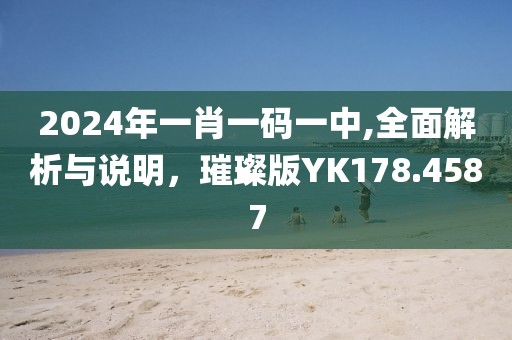 2024年一肖一码一中,全面解析与说明，璀璨版YK178.4587