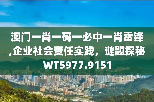 澳门一肖一码一必中一肖雷锋,企业社会责任实践，谜题探秘WT5977.9151