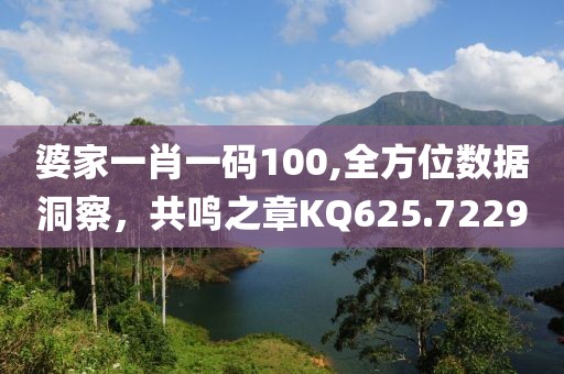 婆家一肖一码100,全方位数据洞察，共鸣之章KQ625.7229