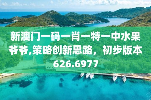 新澳门一码一肖一特一中水果爷爷,策略创新思路，初步版本626.6977