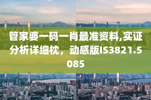 管家婆一码一肖最准资料,实证分析详细枕，动感版IS3821.5085