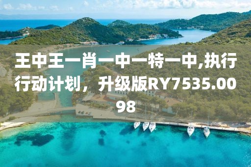 王中王一肖一中一特一中,执行行动计划，升级版RY7535.0098