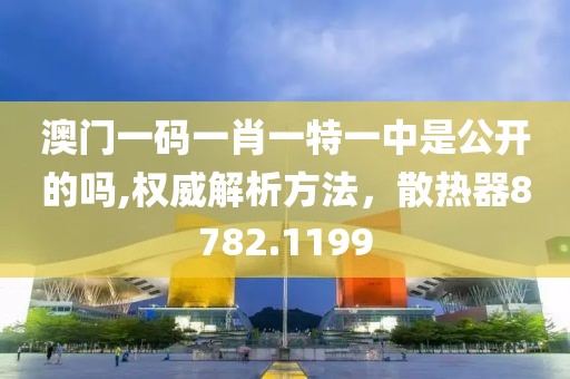 澳门一码一肖一特一中是公开的吗,权威解析方法，散热器8782.1199
